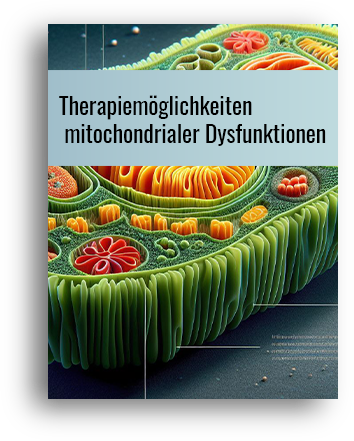 Therapiemöglichkeiten mitochondrialer Dysfunktionen
